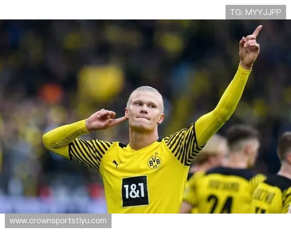 哈兰德冰箱里只放蛋白粉和冰块